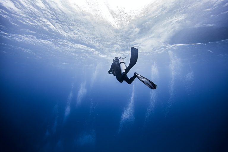 Best Places to Scuba Dive in California